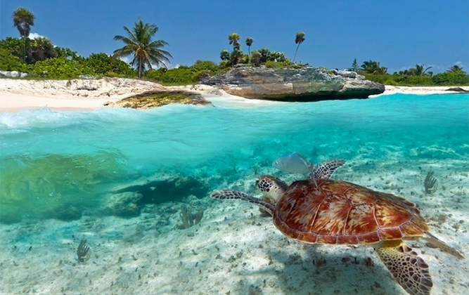 Zanzibar
              Safaris