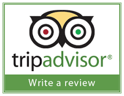 Trip Advisor